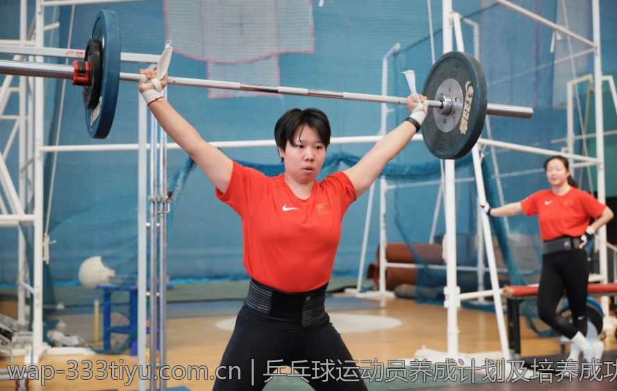 乒乓球运动员养成计划及培养成功案例