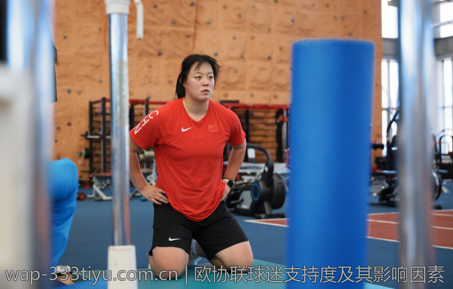 欧协联球迷支持度及其影响因素